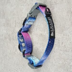 🐾 Leash Boss Collar